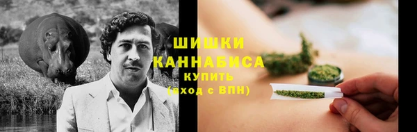 крисы Семилуки