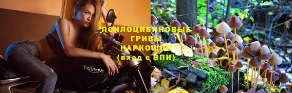 гидропоника Баксан