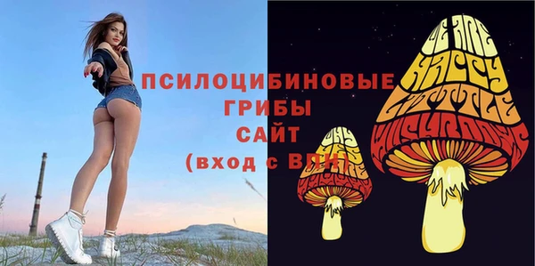 а пвп мука Армянск
