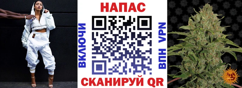 закладки Болгар Каннабис семена